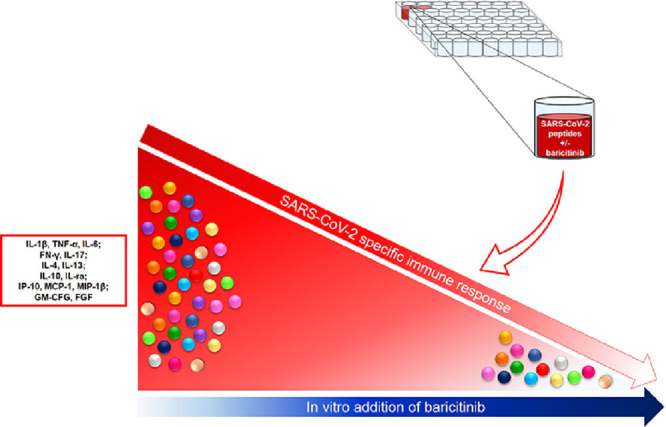 Image, graphical abstract