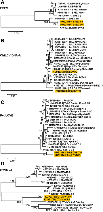 Fig. 5