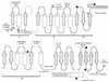 FIG. 2.