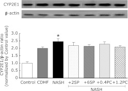 Fig. 7