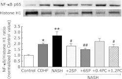 Fig. 9