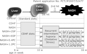 Fig. 1