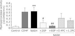 Fig. 10