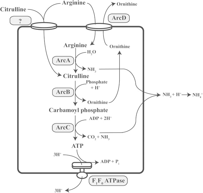 FIG 1