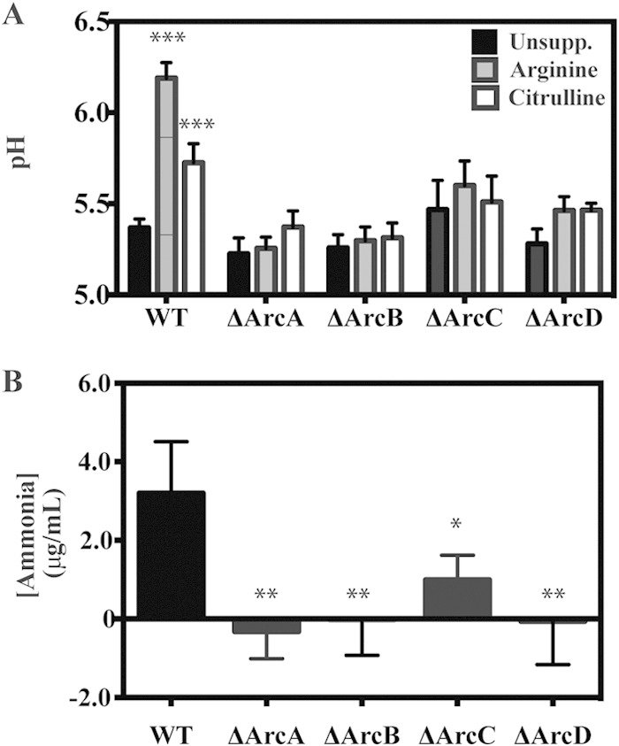 FIG 2