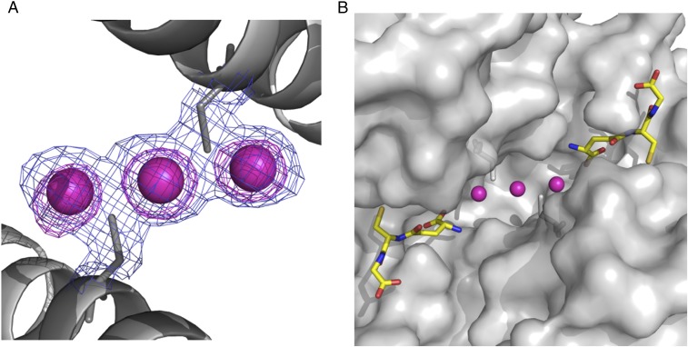 Fig. 4.