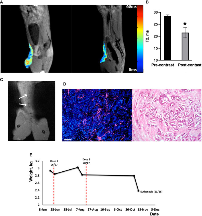 Figure 3