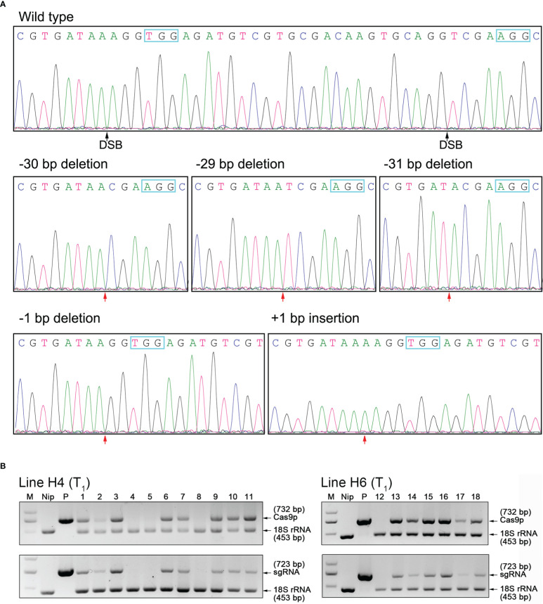 Figure 2