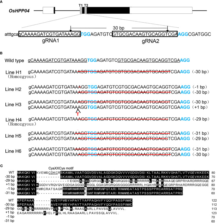 Figure 1