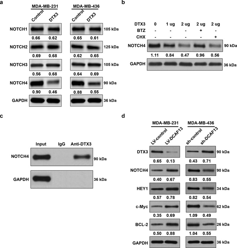 Figure 4.