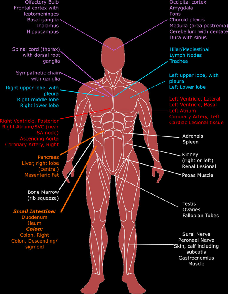 Fig 3