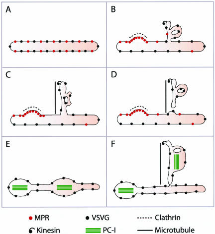 Figure 10.