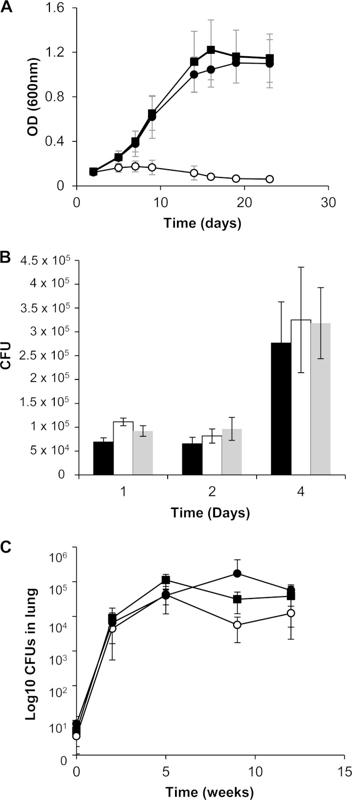 FIG 2