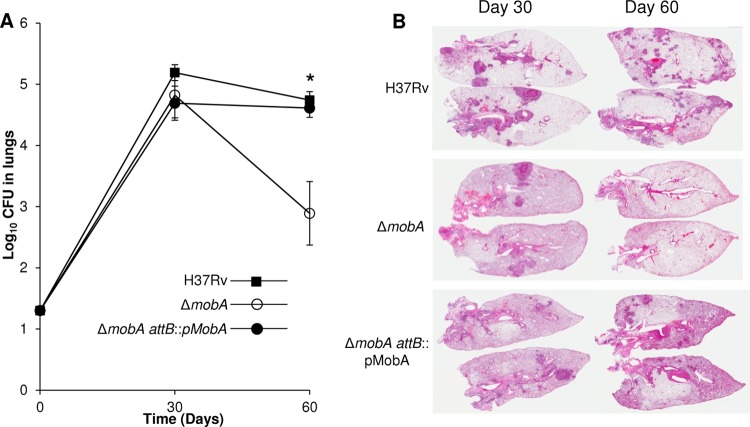 FIG 3