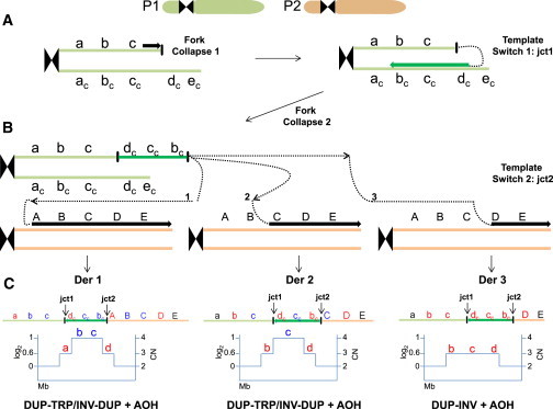 Figure 1