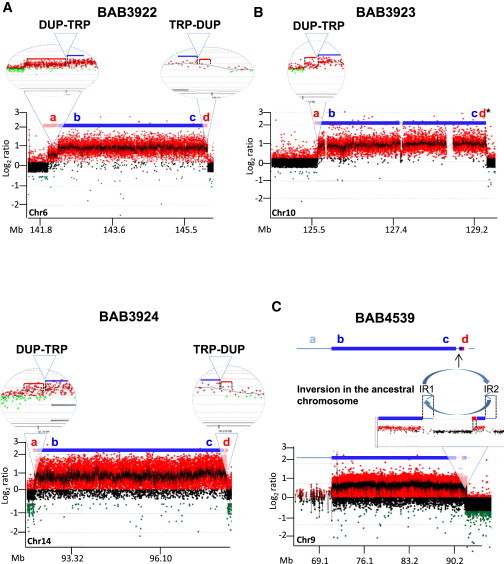 Figure 3