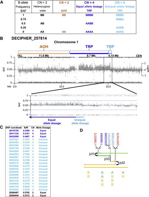 Figure 4