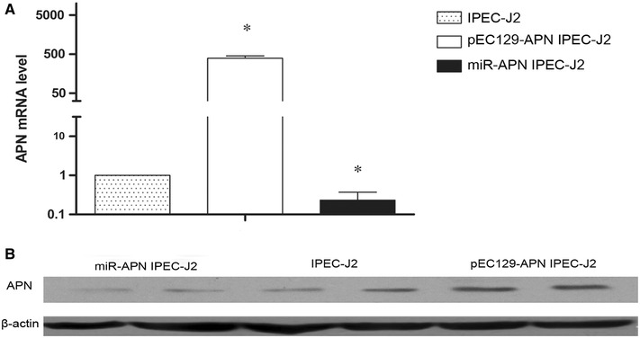 Figure 2