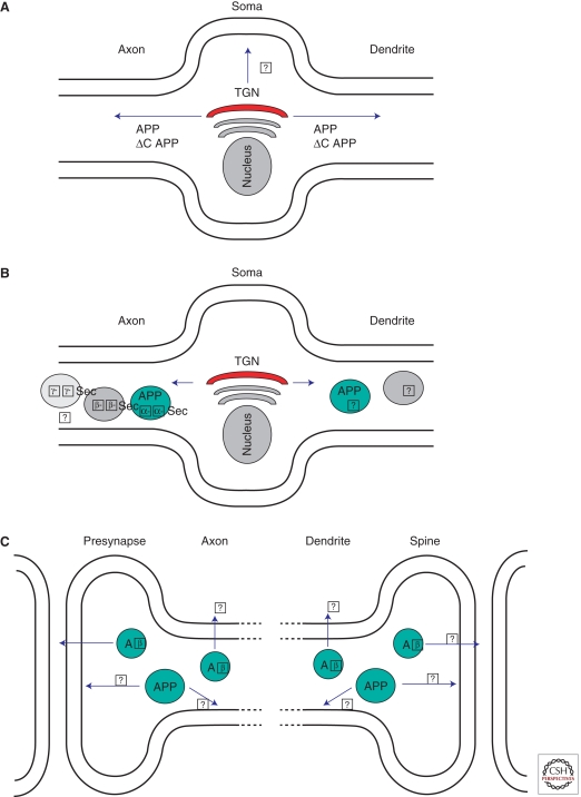 Figure 7.