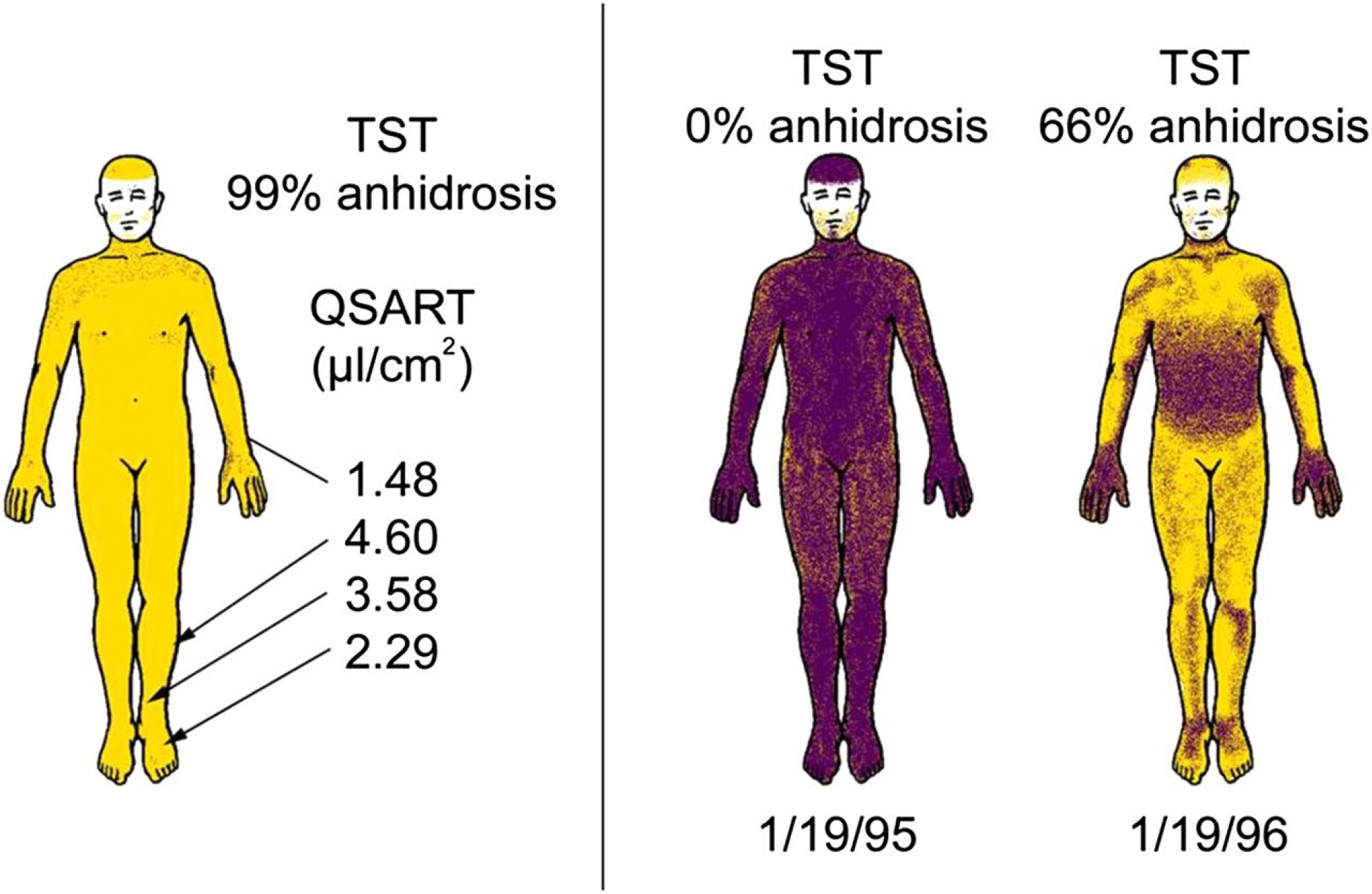 Fig. 9