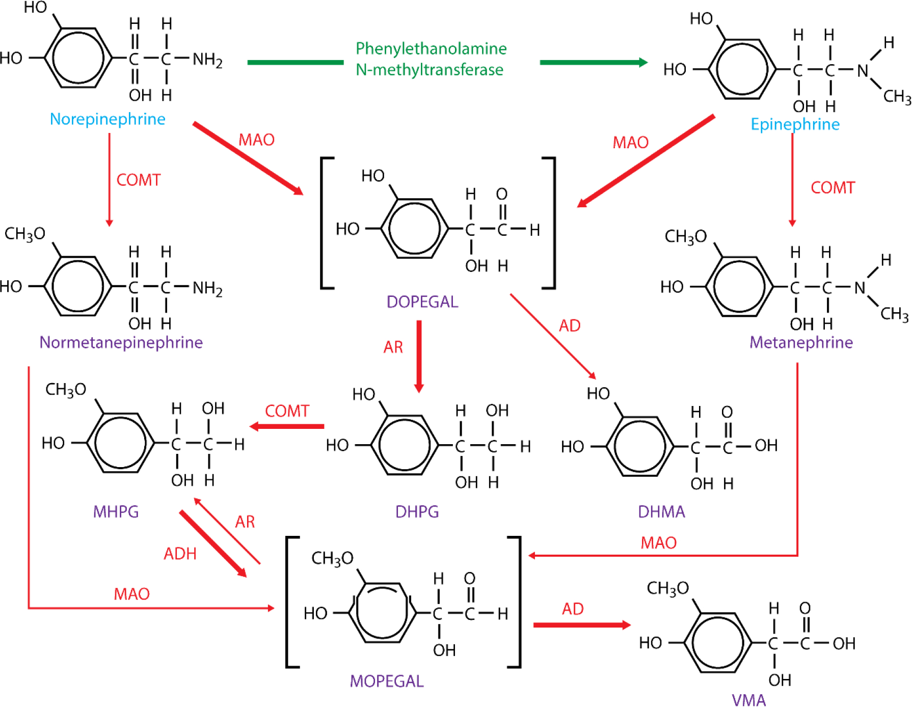 Fig. 4