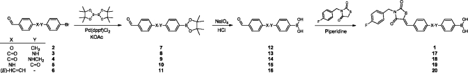 Scheme 2