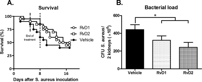 FIG 6