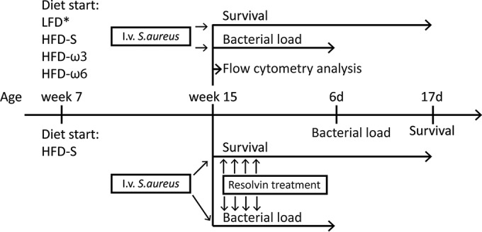 FIG 1