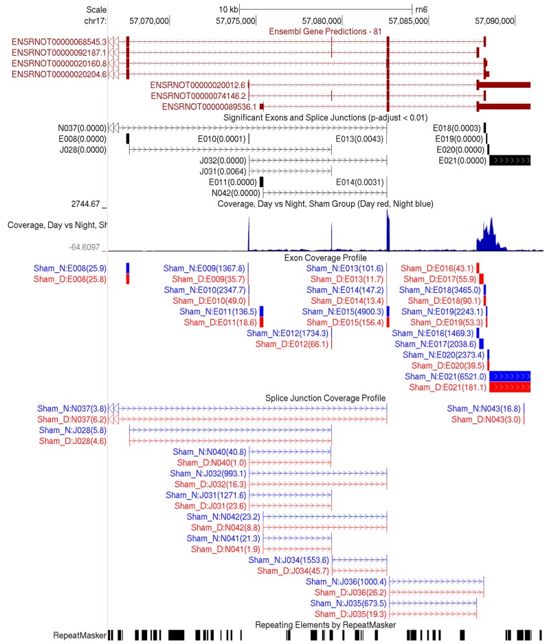 Figure 5.