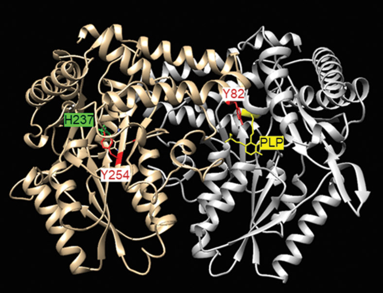 FIG. 6.