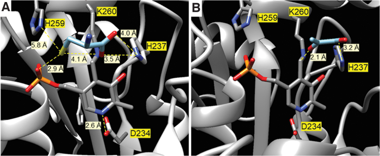 FIG. 7.