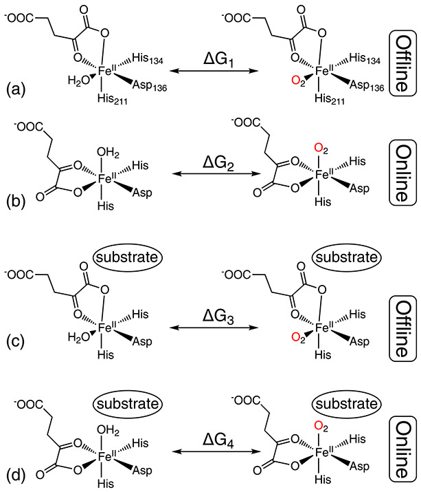 Scheme 4