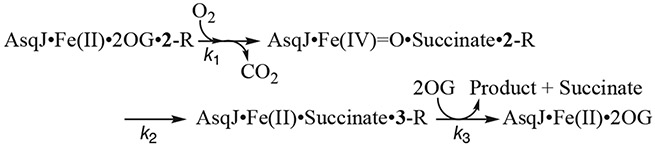 Scheme 2