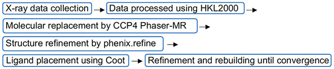 Scheme 3