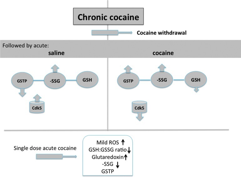 FIG. 6.