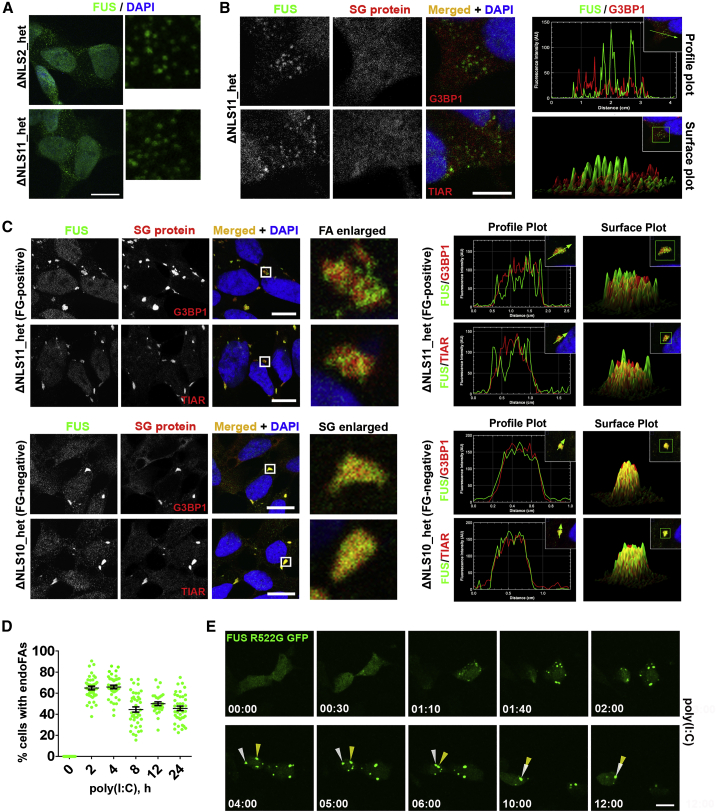 Figure 3