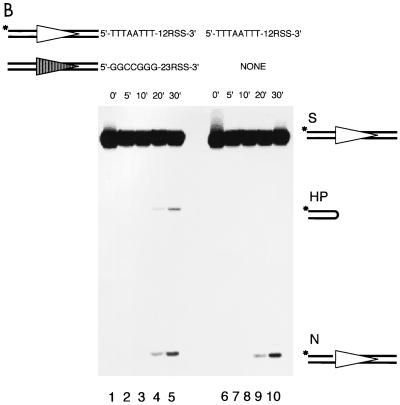 FIG. 6