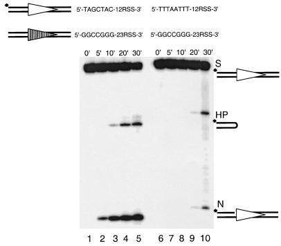 FIG. 3