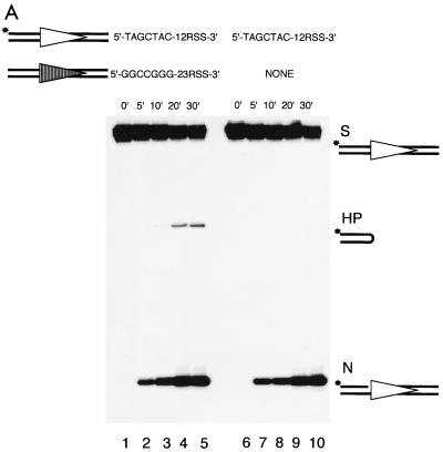 FIG. 6