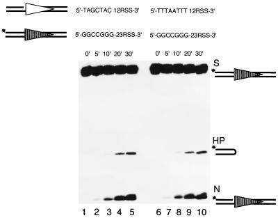 FIG. 8