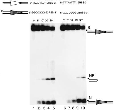 FIG. 7