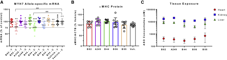 Figure 5