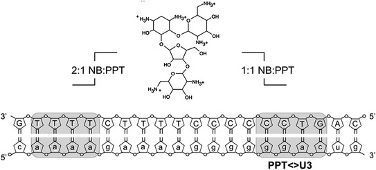 Fig. 7