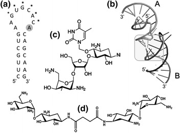 Fig. 3