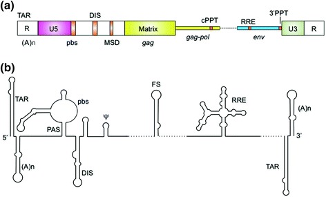 Fig. 1