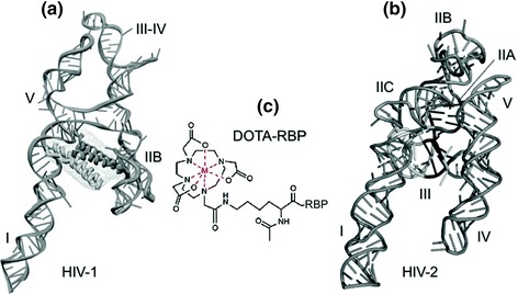 Fig. 6