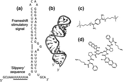 Fig. 5