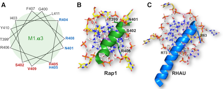 Figure 6.