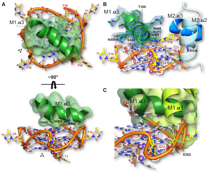 Figure 4.