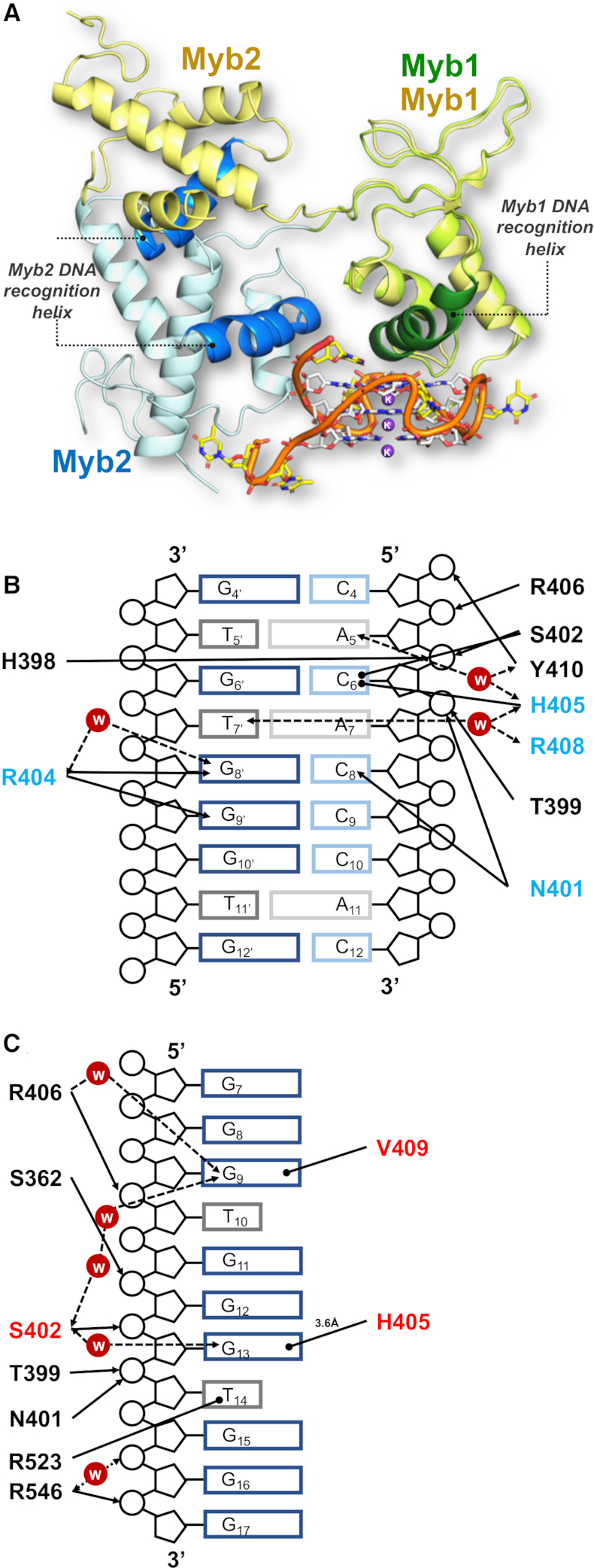 Figure 5.